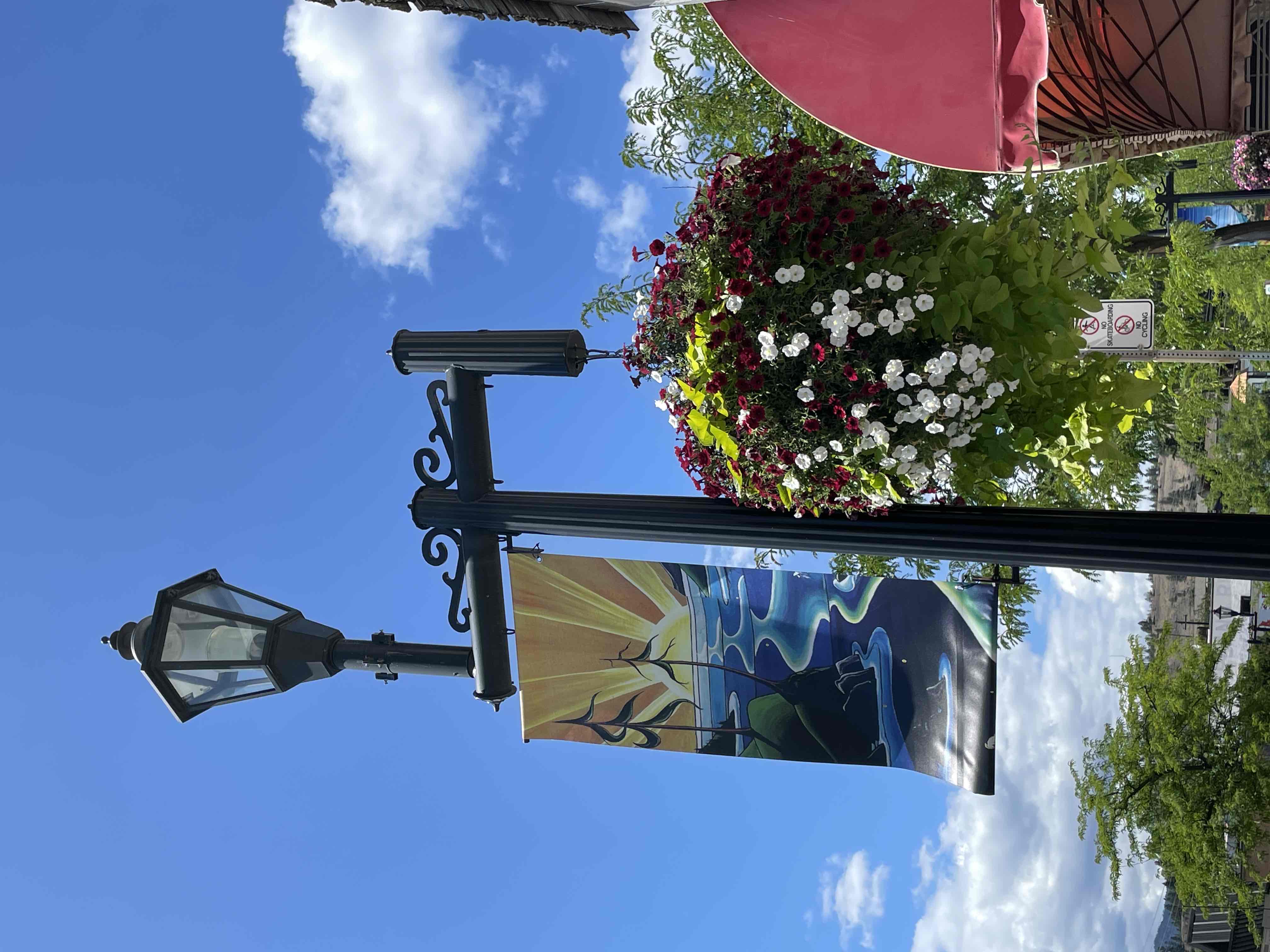 Overflowing hanging baskets make me happy.